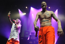 Die Antwoord